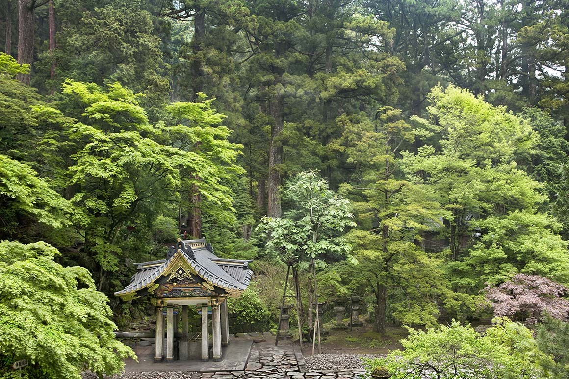 Bosque Japonés