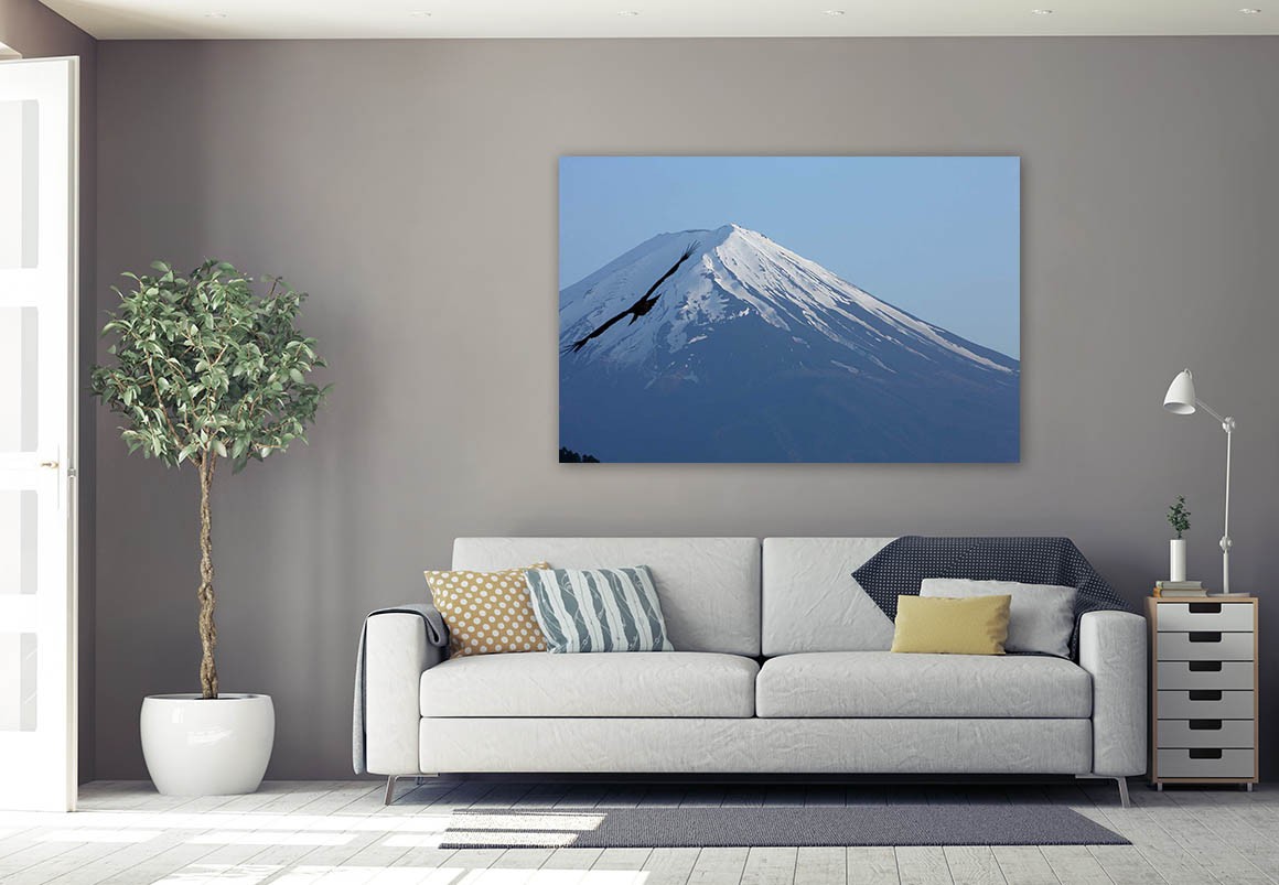 Sobrevolando el Monte Fuji, autor Javier Aranburu