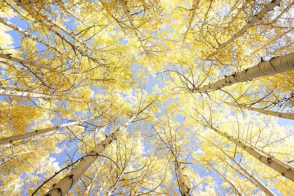 Fotografía artística de naturaleza ile ilgili görsel